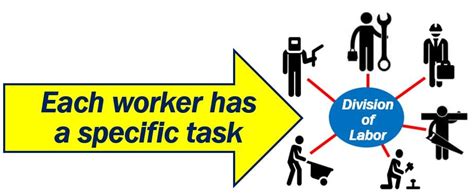 Division of Labor .